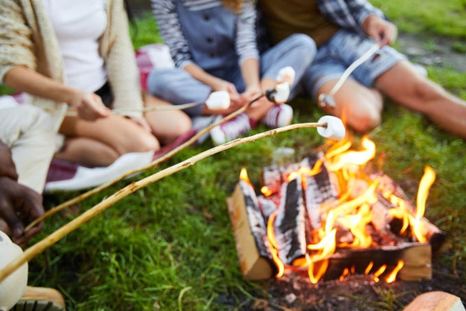 rs-marshmellows-shutterstock_1191890578.jpg