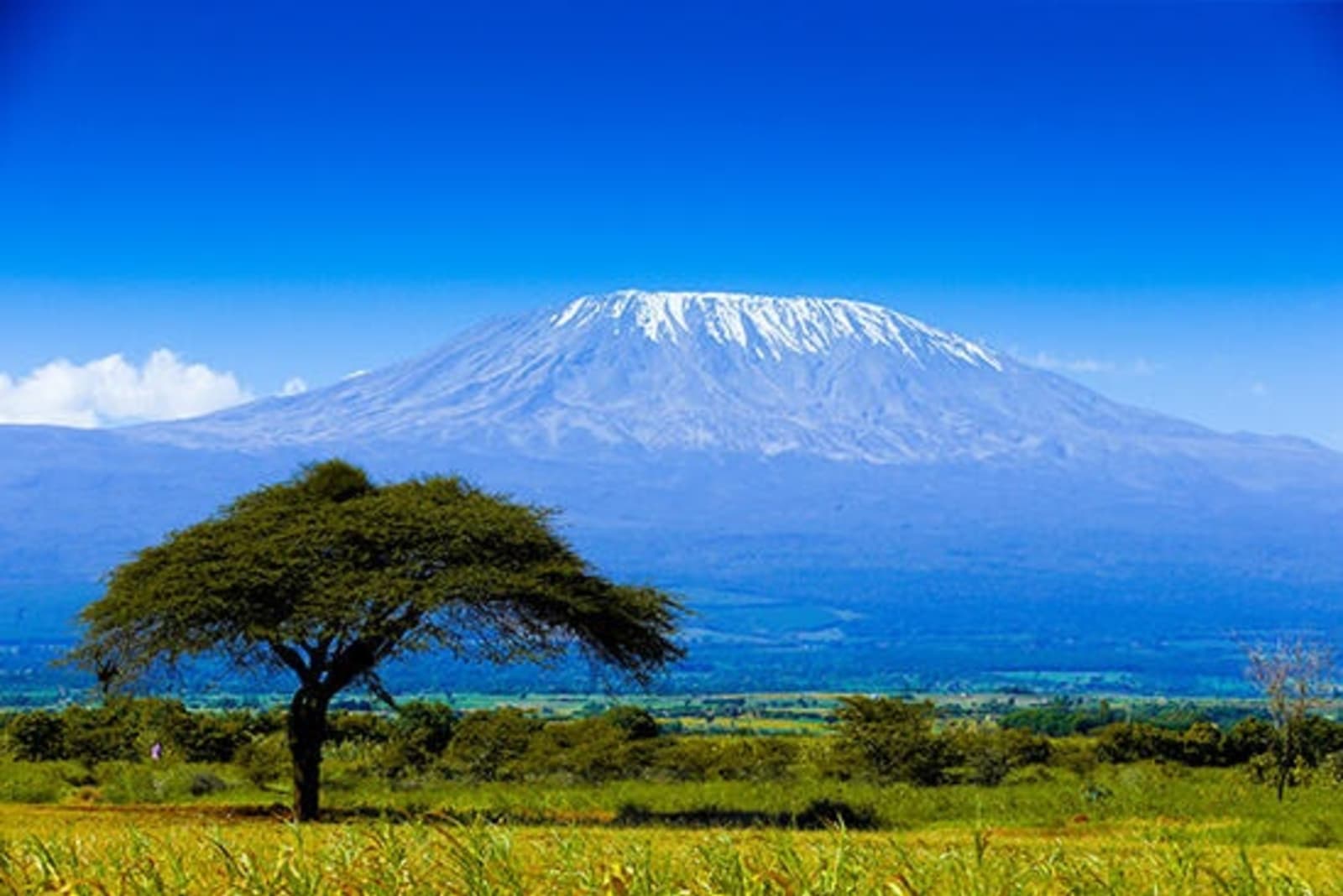 rs-mt-kilimanjaro-shutterstock257804815.jpg