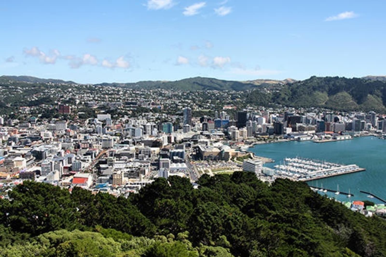 rs-new-zealand-wellington-city.jpg