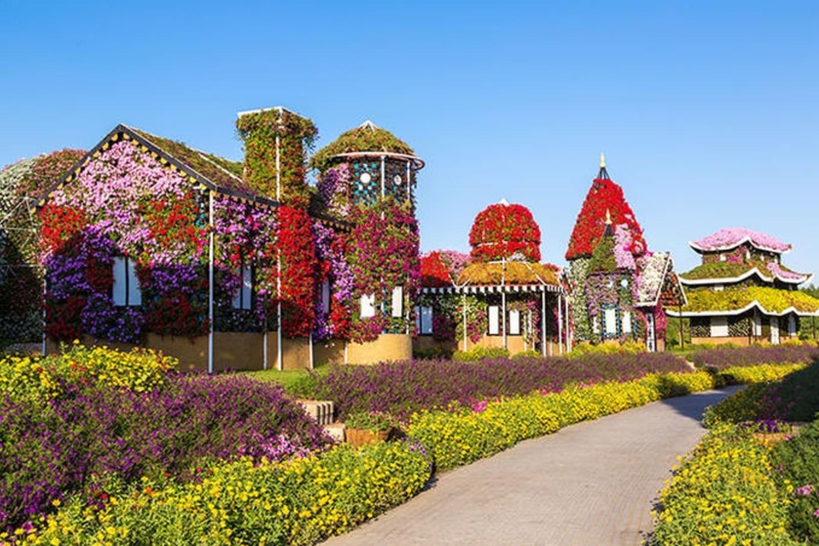 rs-the-miracle-garden-dubai-shutterstock_378893809.jpg