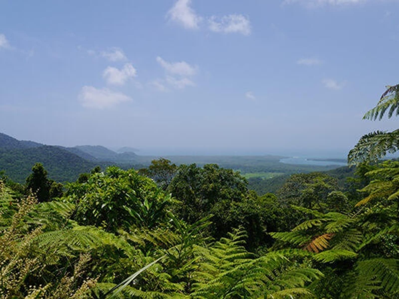 rs-view-across-daintree-p1150787.jpg