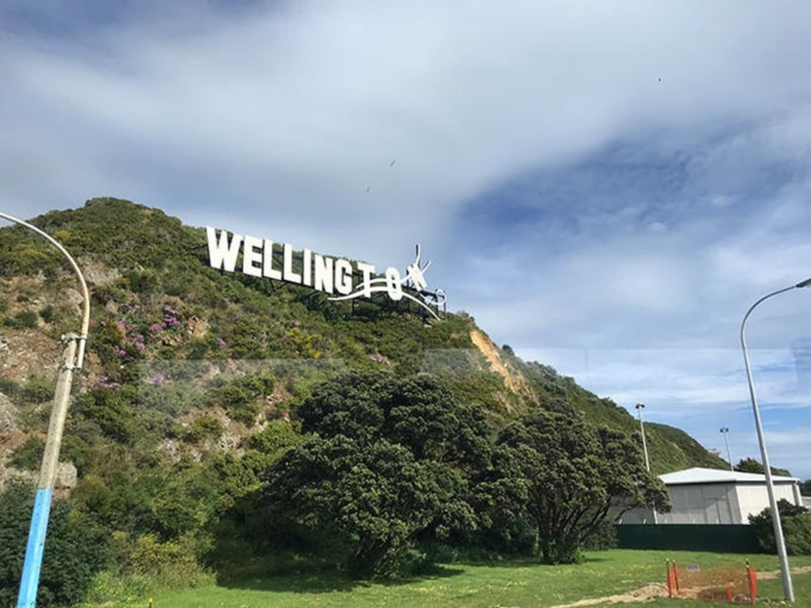 rs-wellywood-sign-wellington.jpg