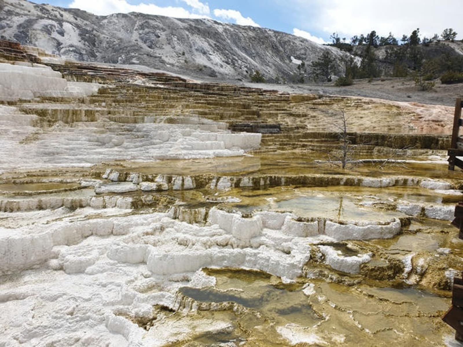 rs-yellowstone-national-park-alex-cronin-mammoth-hot-springs.jpg