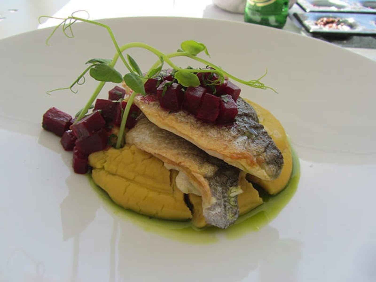 seabass-with-fava_0.jpg