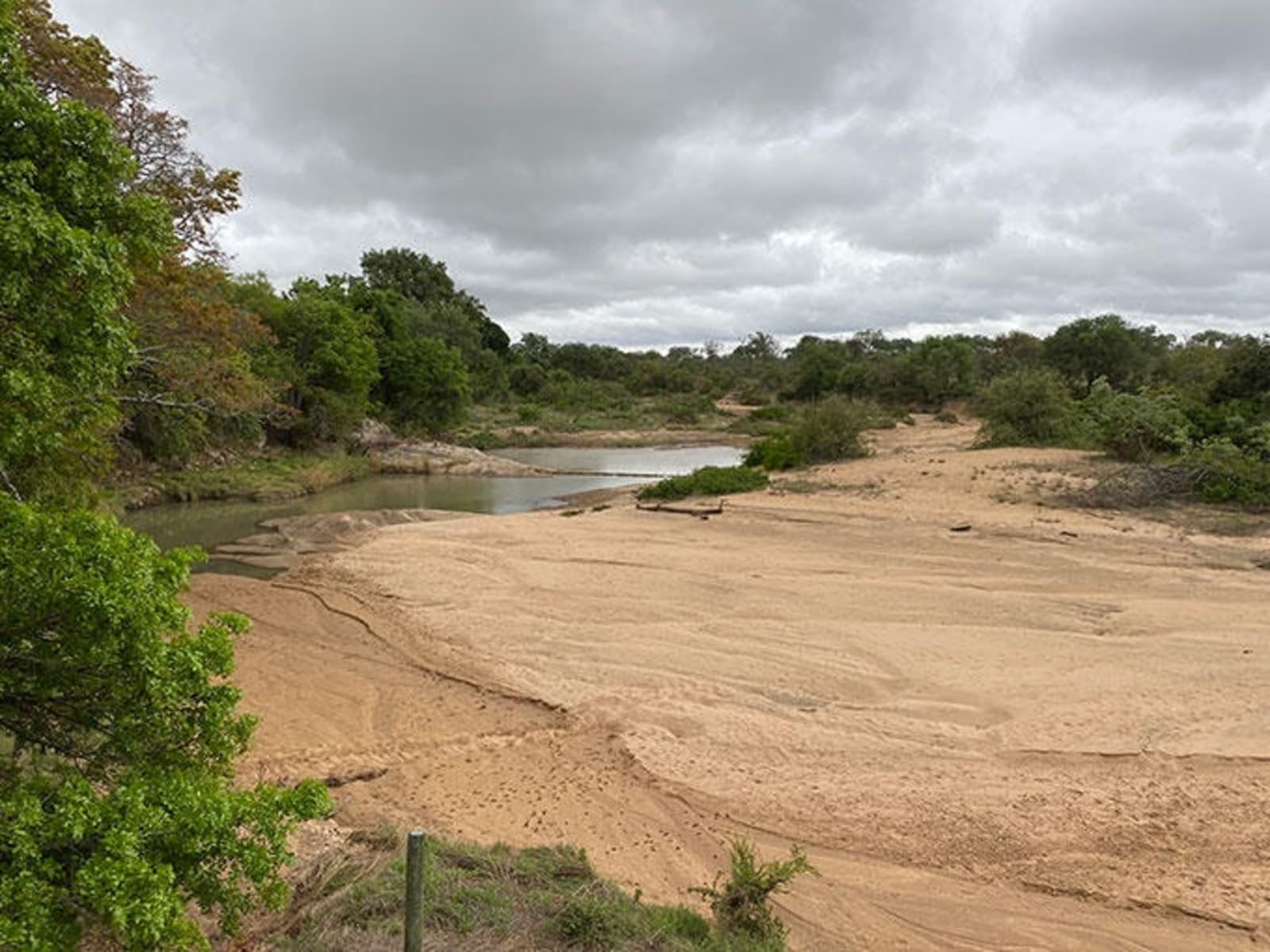 thornybush-dry-river-ps.jpg