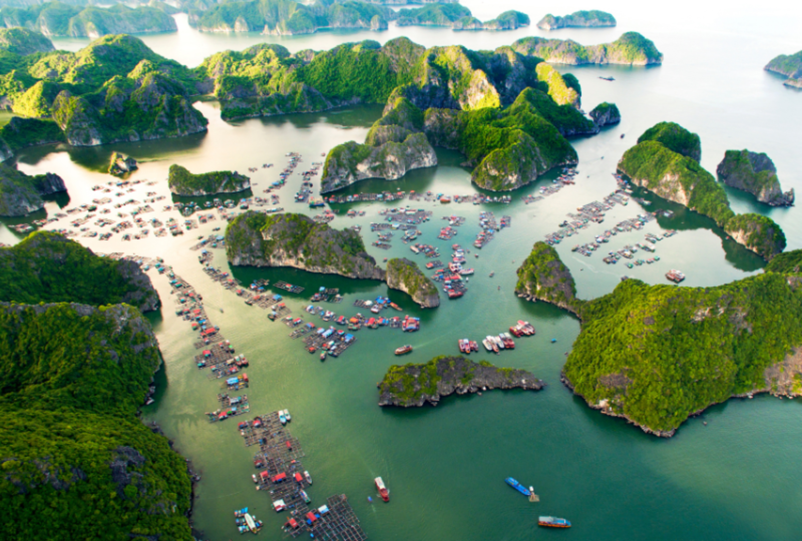 Ha Long Bay image.png