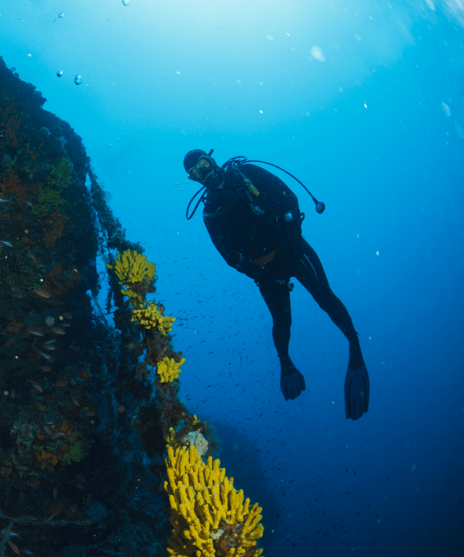 Croatia is a great spot for snorkelling