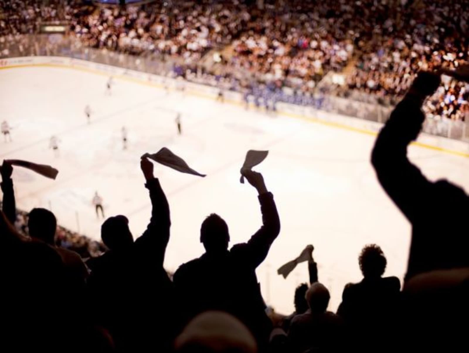 Fans cheering at hockey game