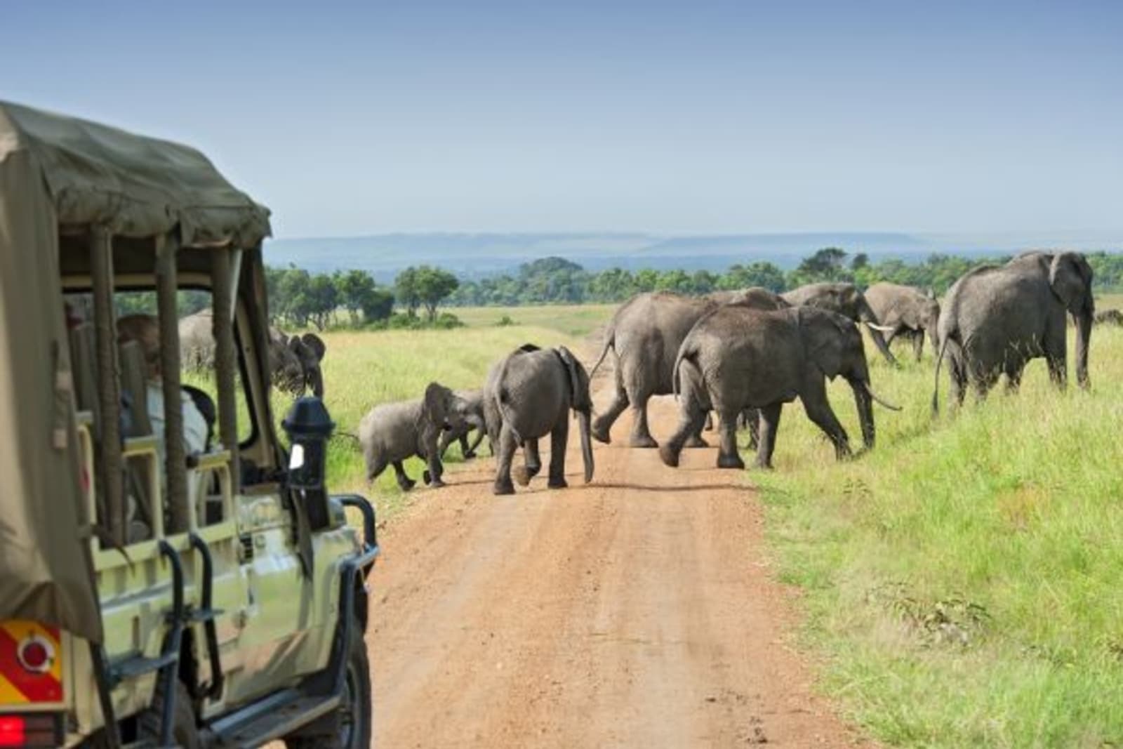 Safari car looking at a herd of elephants in Tanzania
