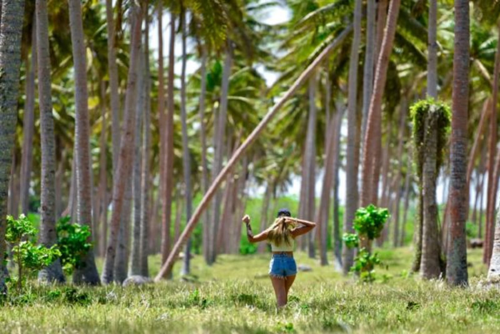 Woman walking through a line of palm trees
