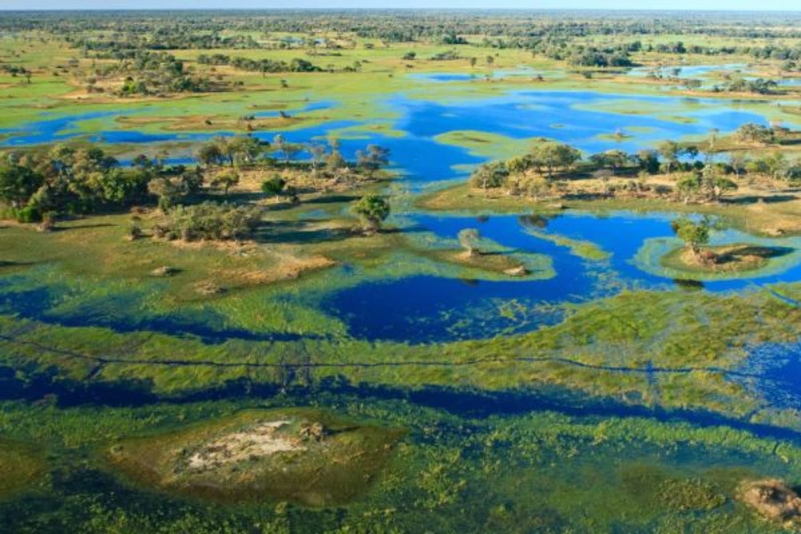Aerial view of grassland filled with water in Botswana
