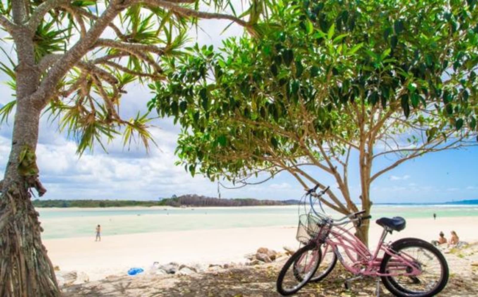 bike under tree by beach