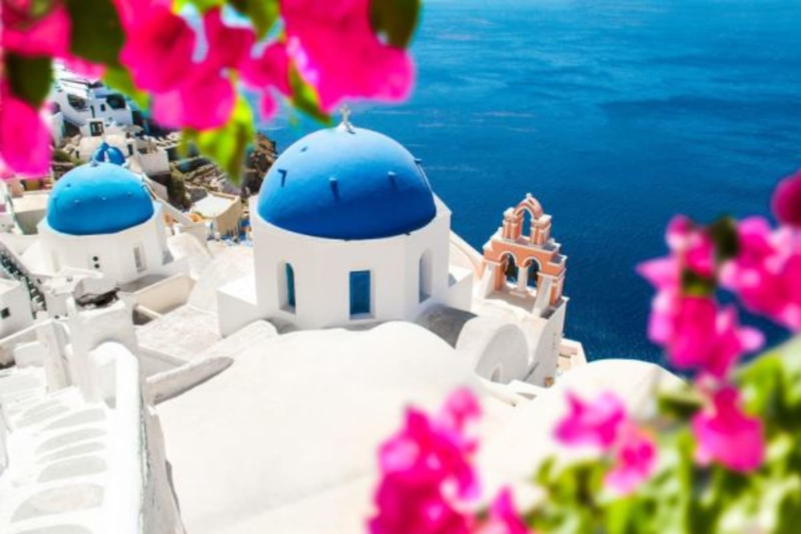Pink flowers with blue domed houses in the middle in Greek Islands