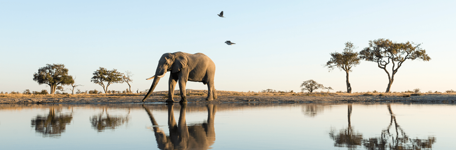 botswana