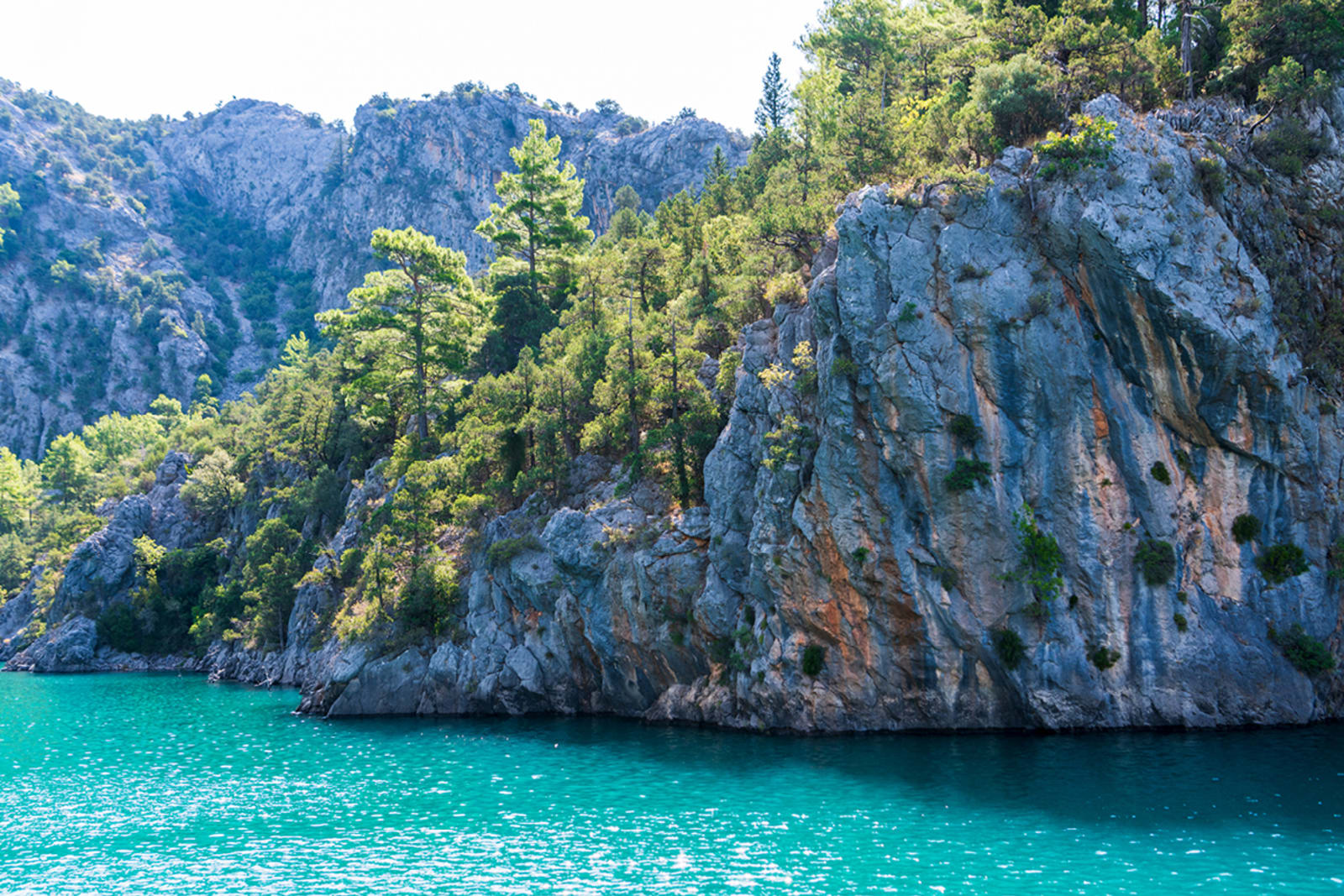 turkey