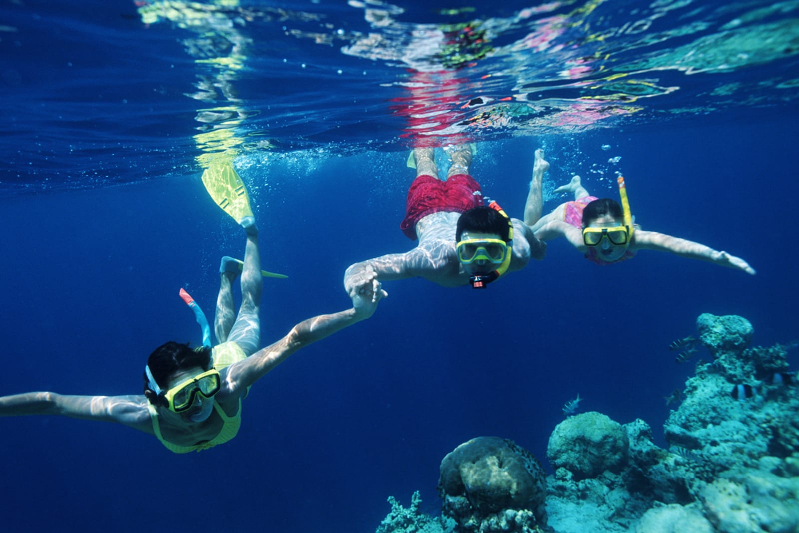 family_holidays