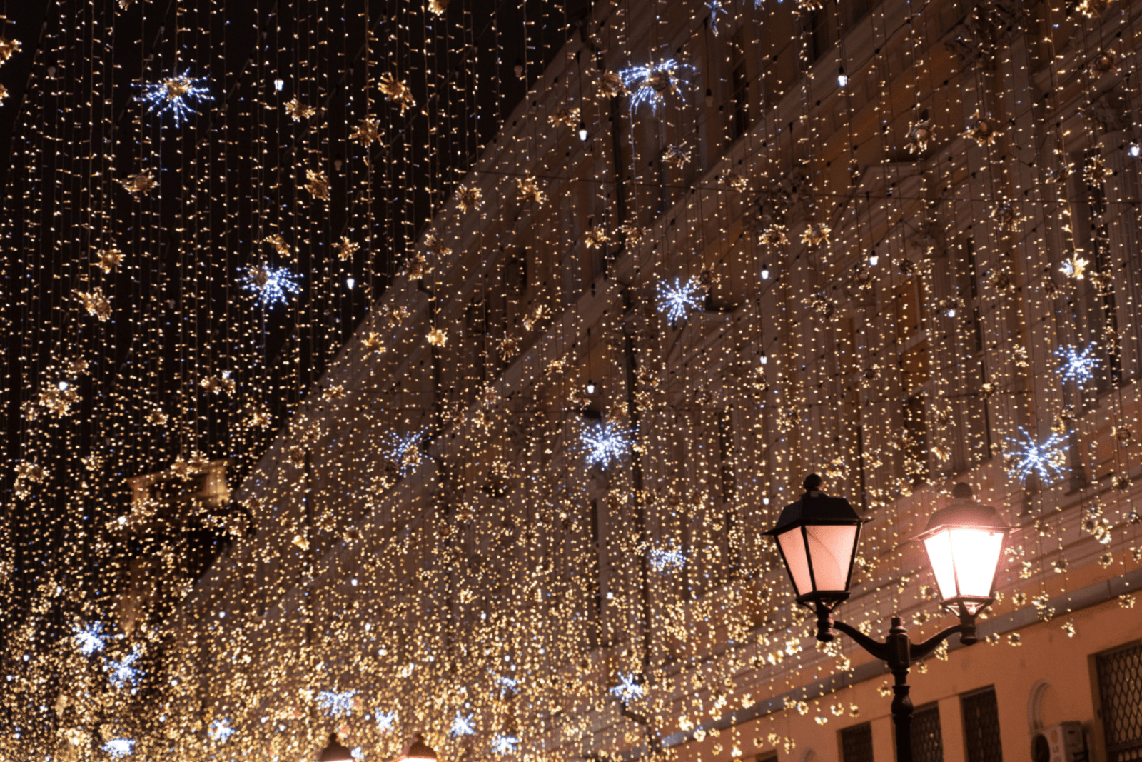 christmas-lights