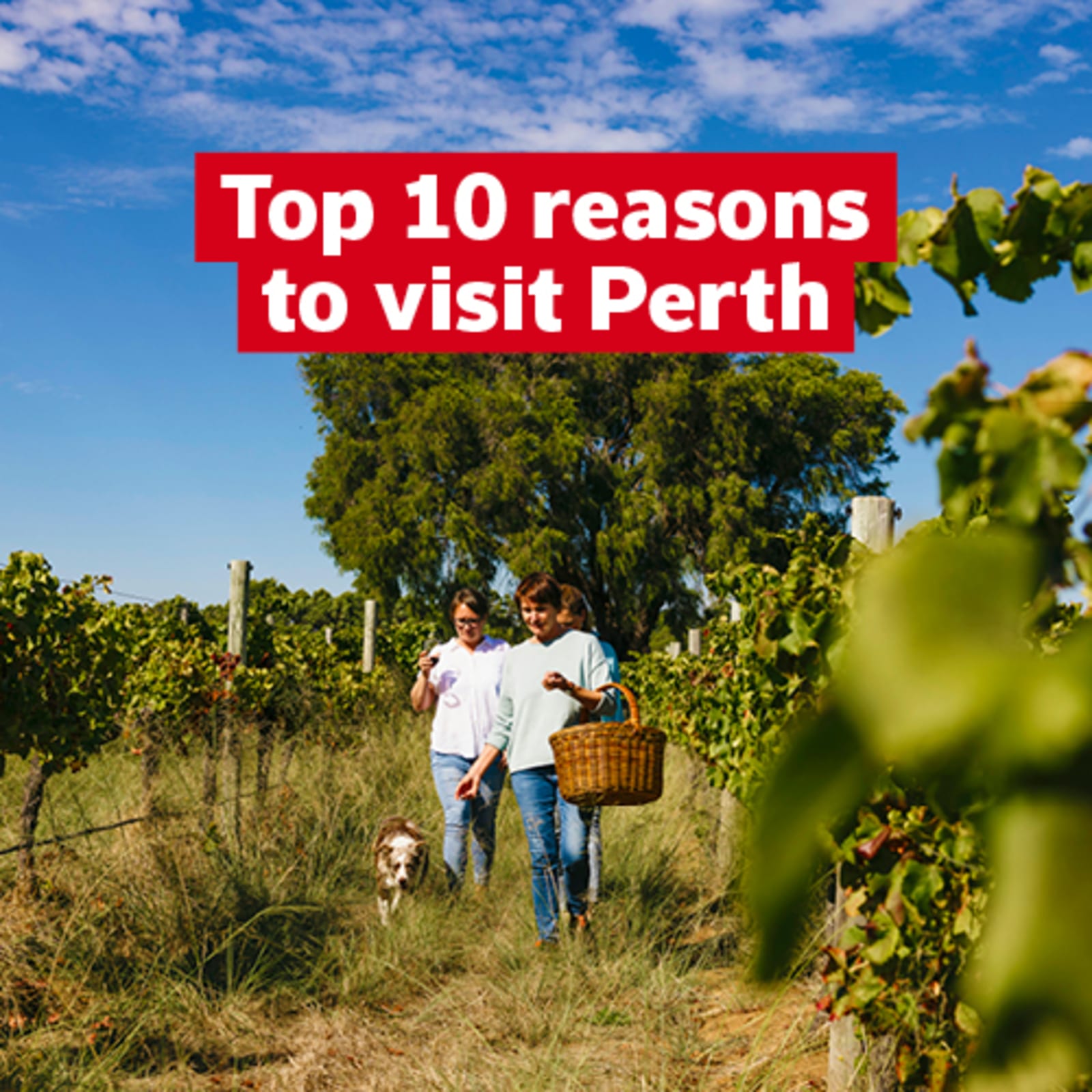 Top 10 reasons to visit Perth