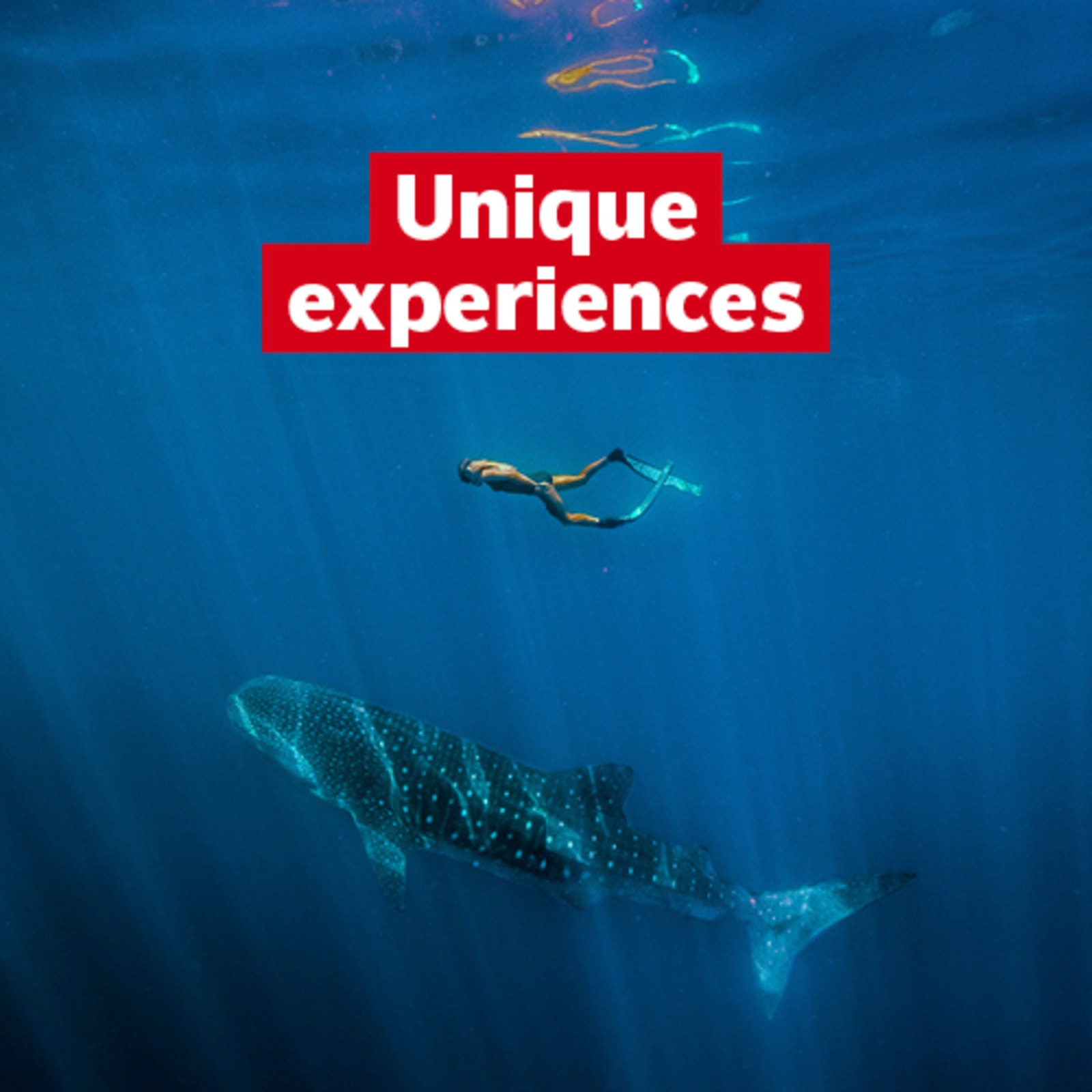 Unique experiences