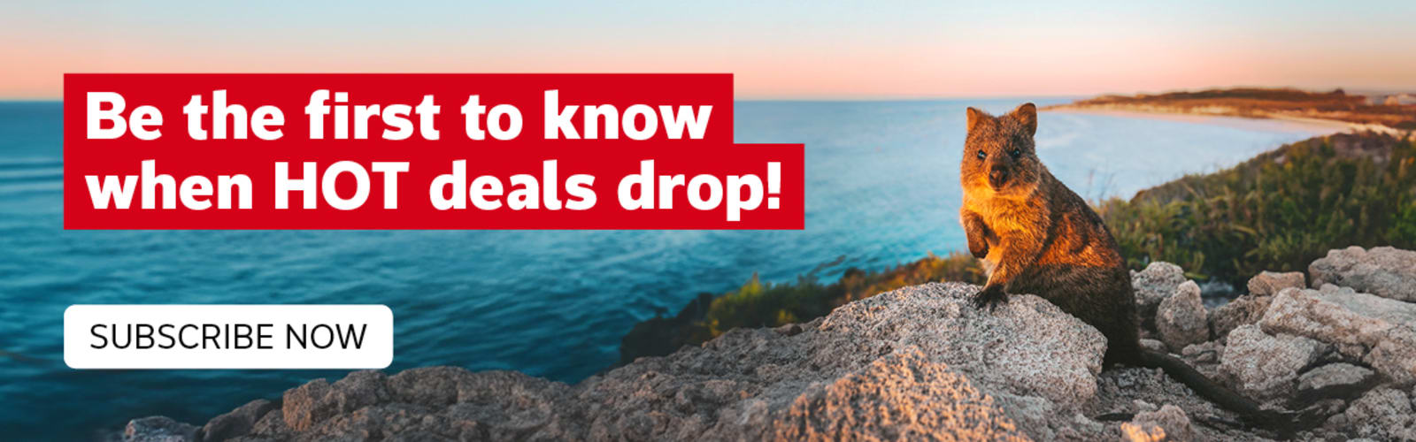 Be the first to know when HOT deals drop!