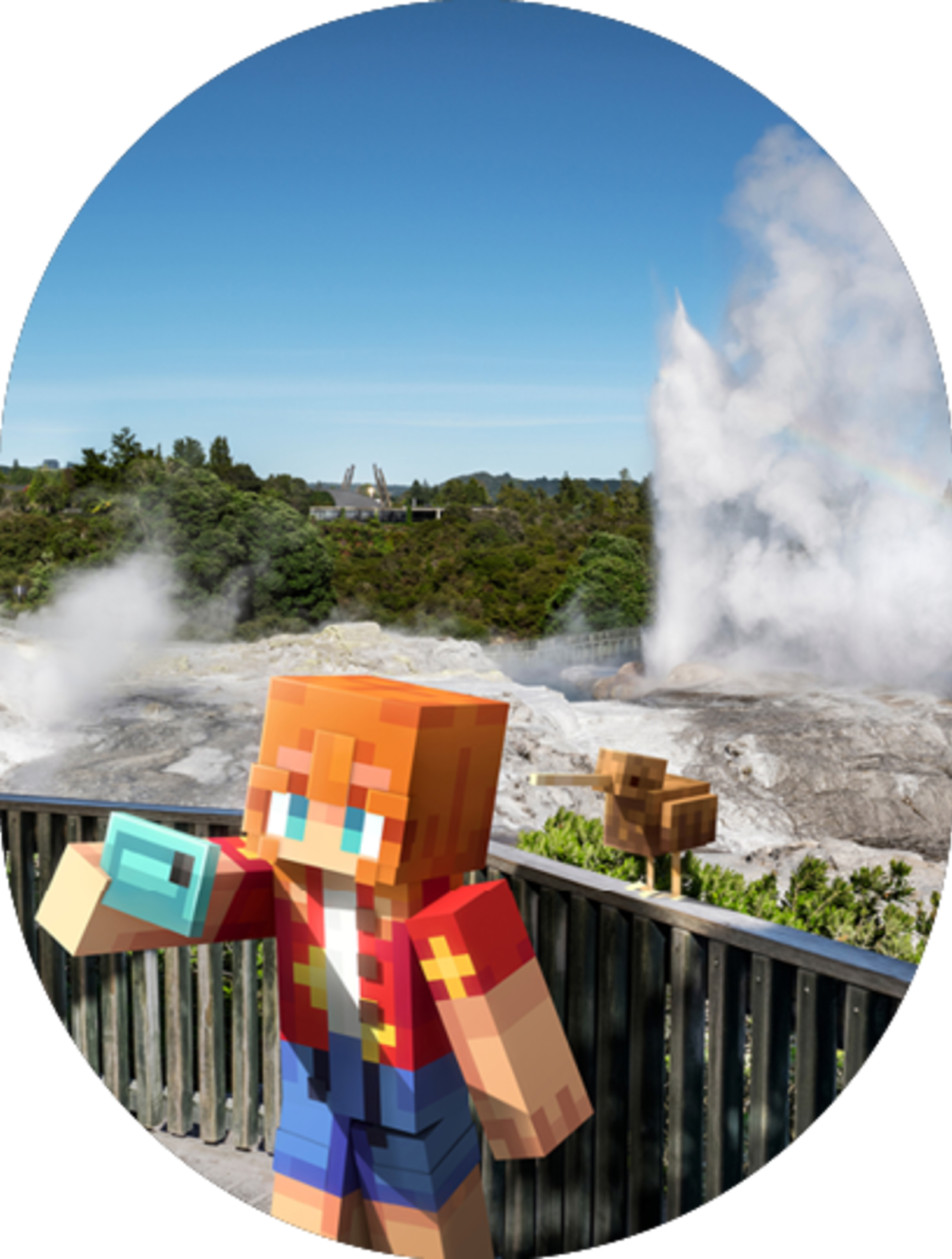 Minecraft in Rotorua