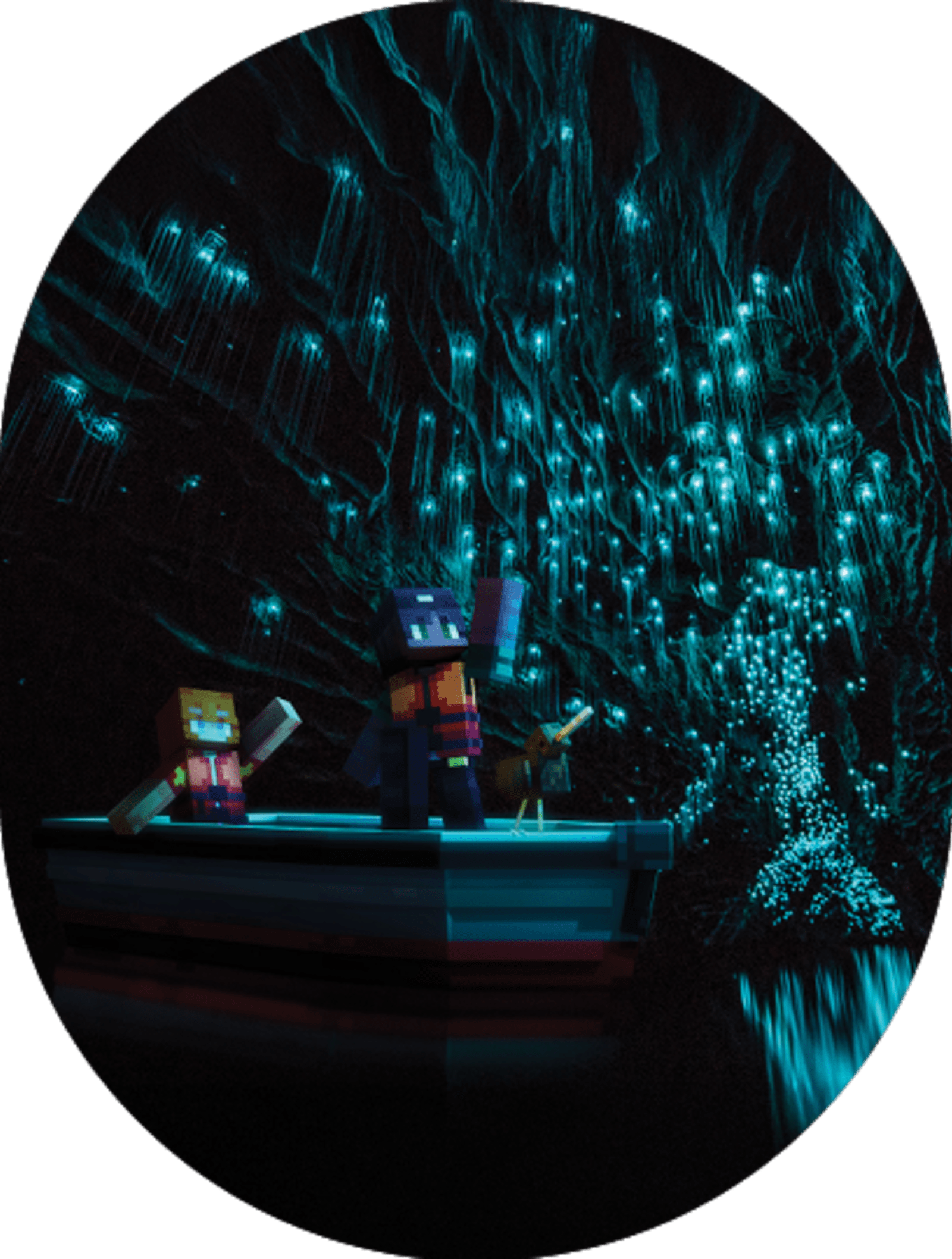Minecraft in Waikato