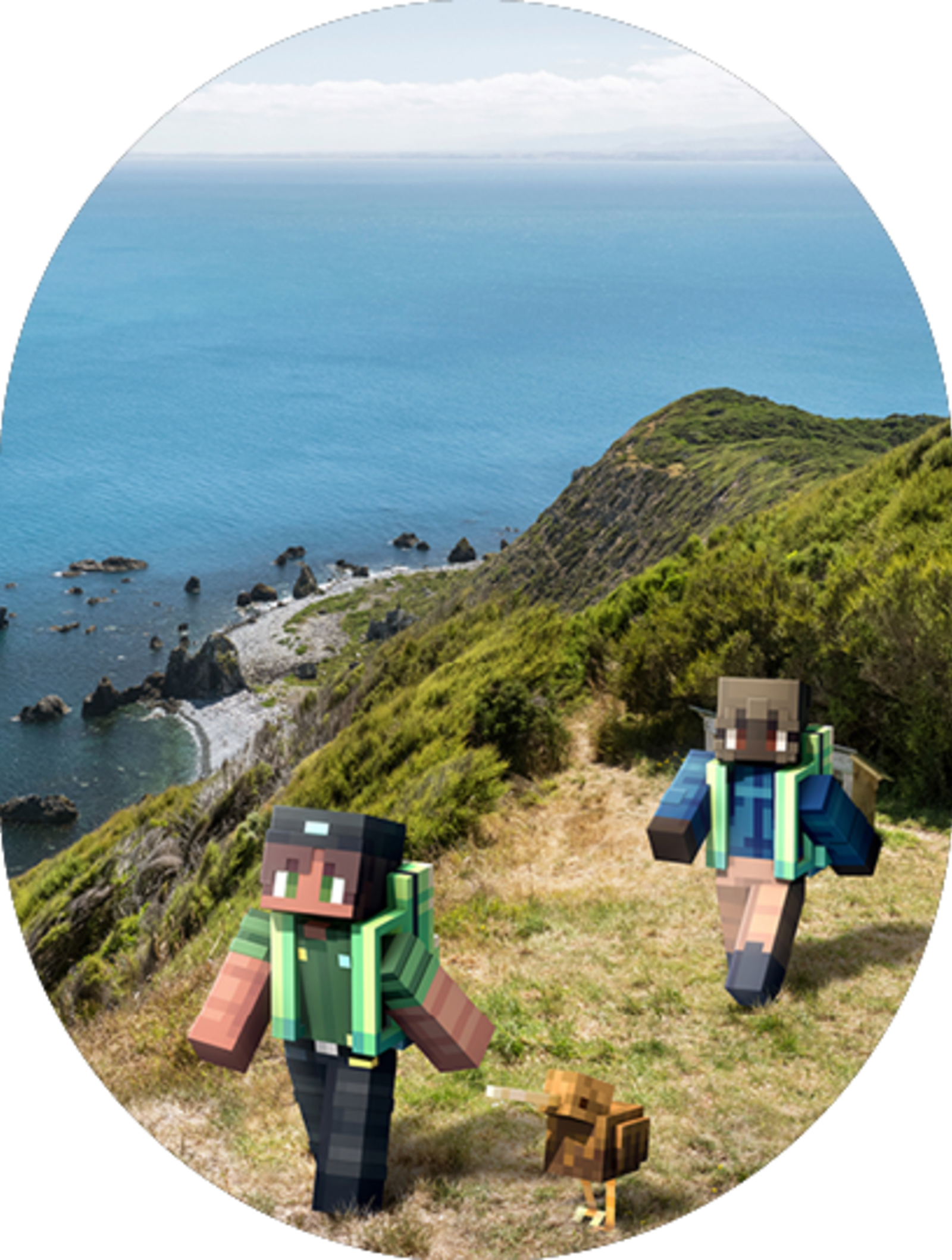Minecraft in Wellington