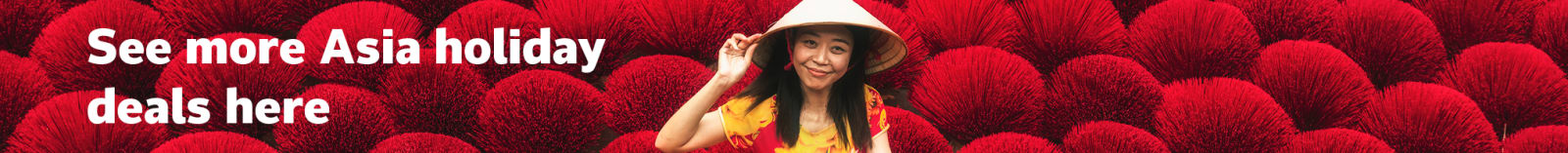 See more Asia holiday deals here
