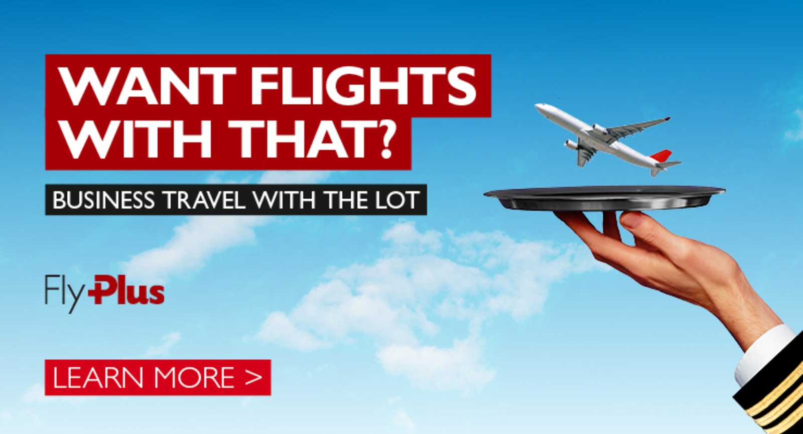Want flights with that? - Business travel with the lot