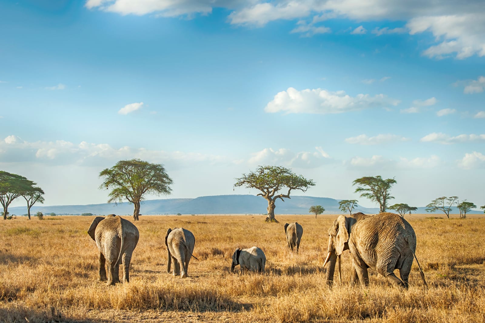 Tanzania