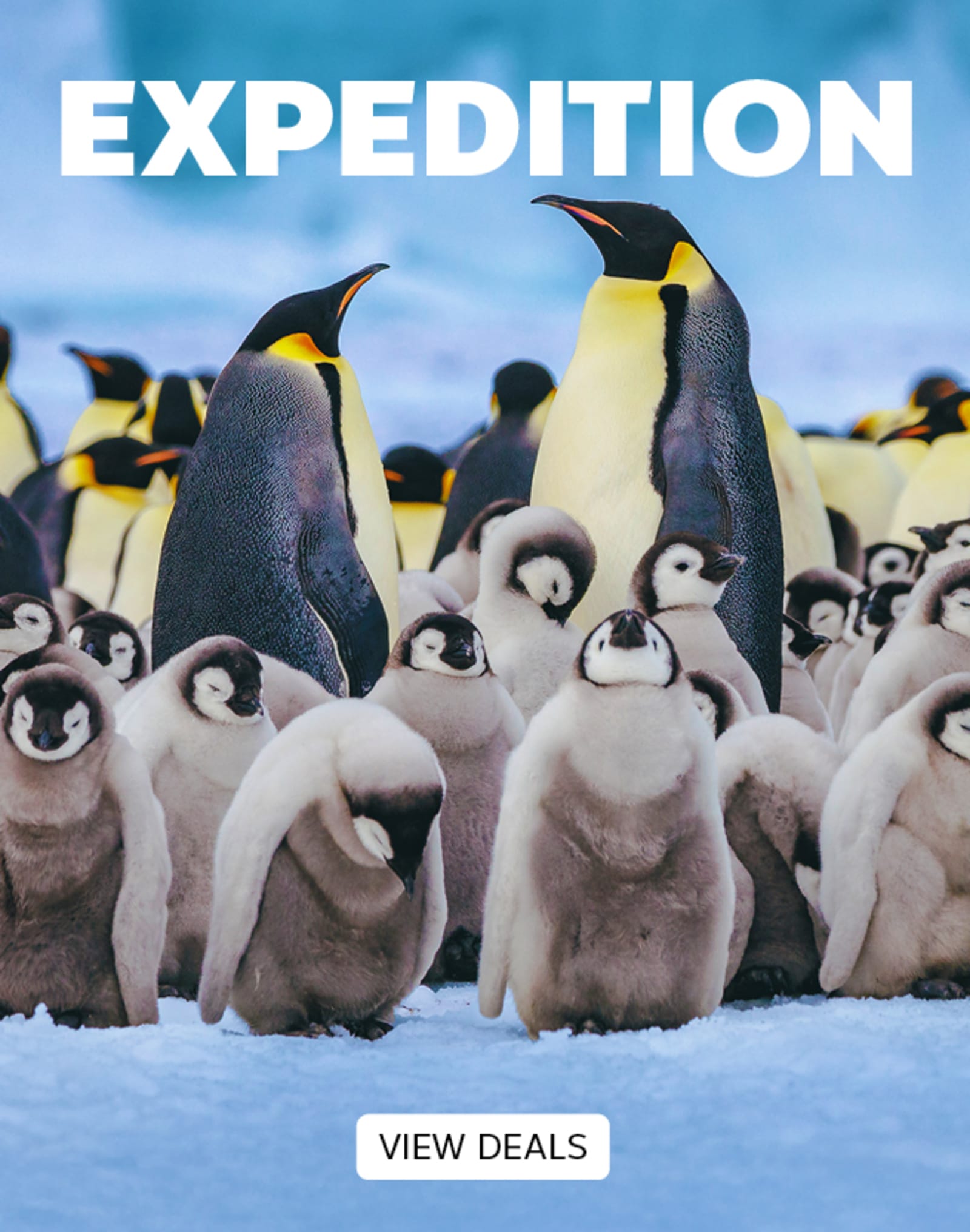 Expedition Cruises