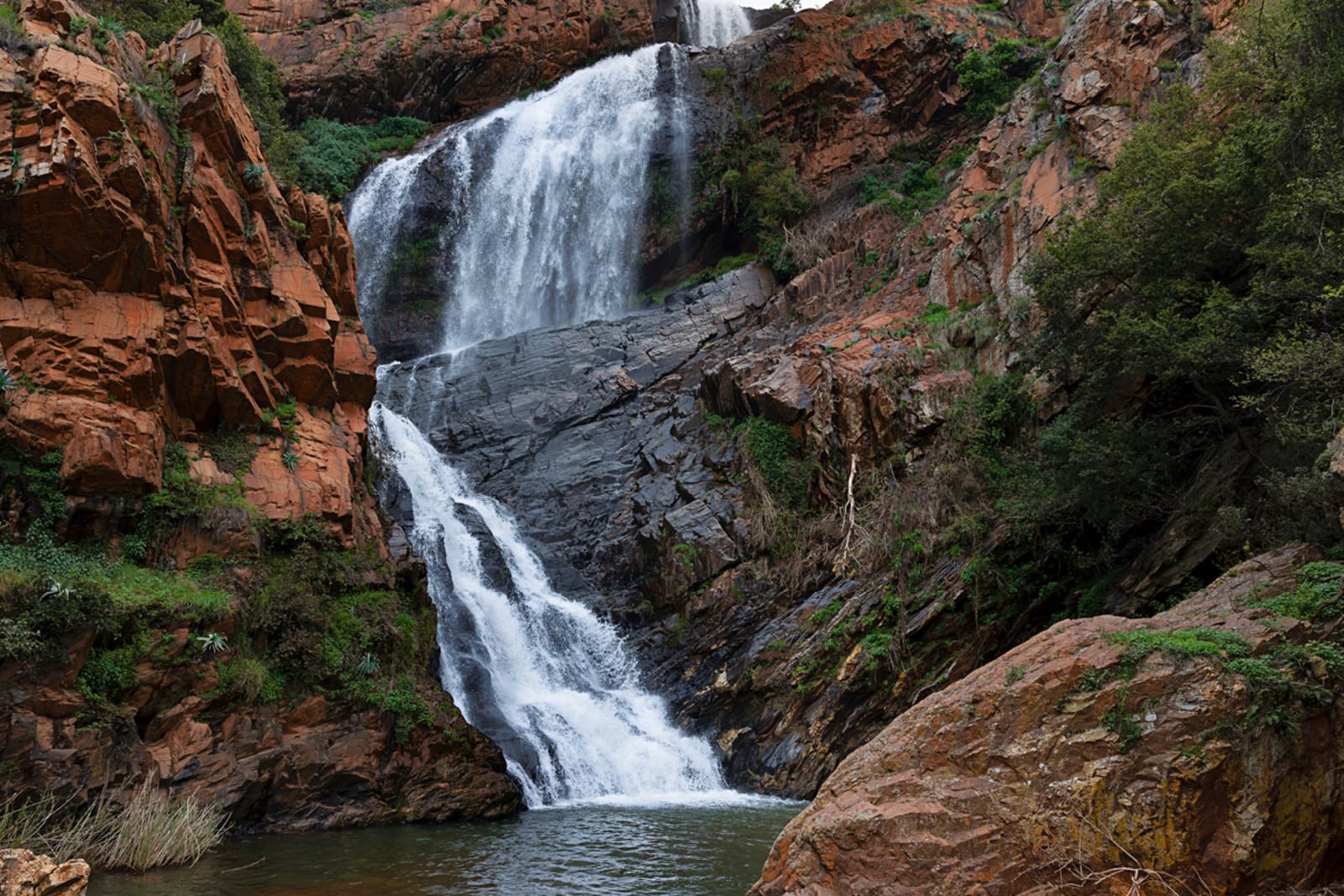 south-africa