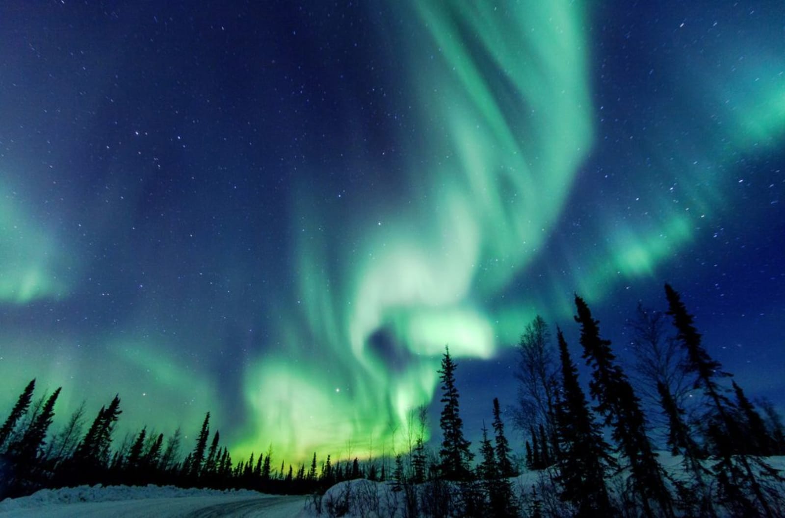 Northern lights over a snowy field with trees