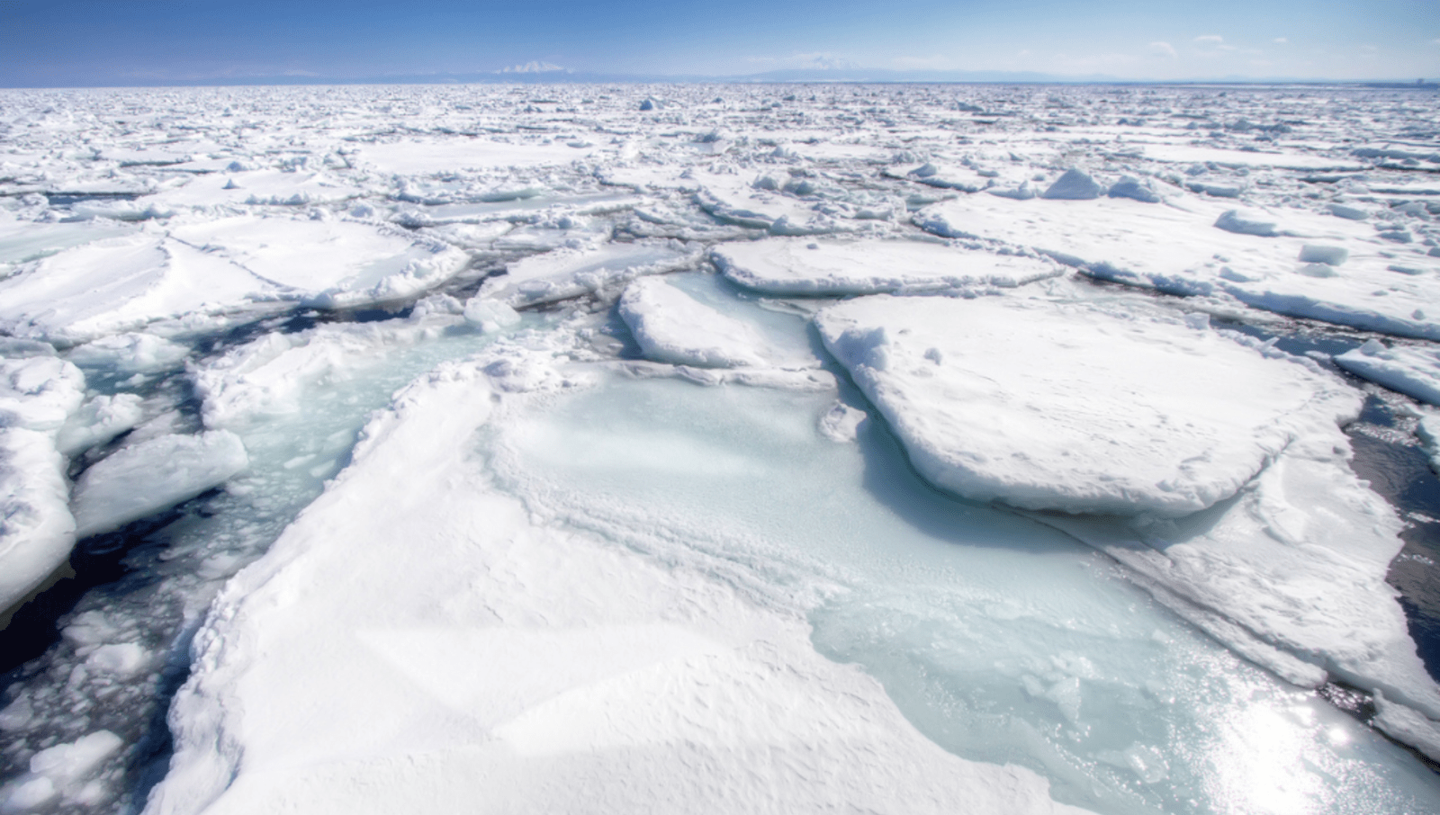 Drift ice covering the ocean