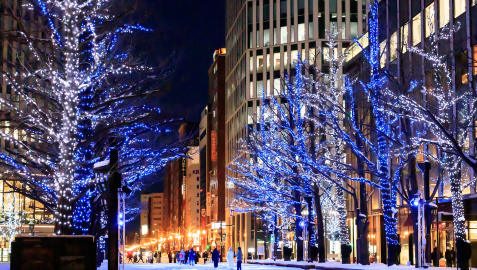 Trees covered in lights in city covered in snow at night in Japan