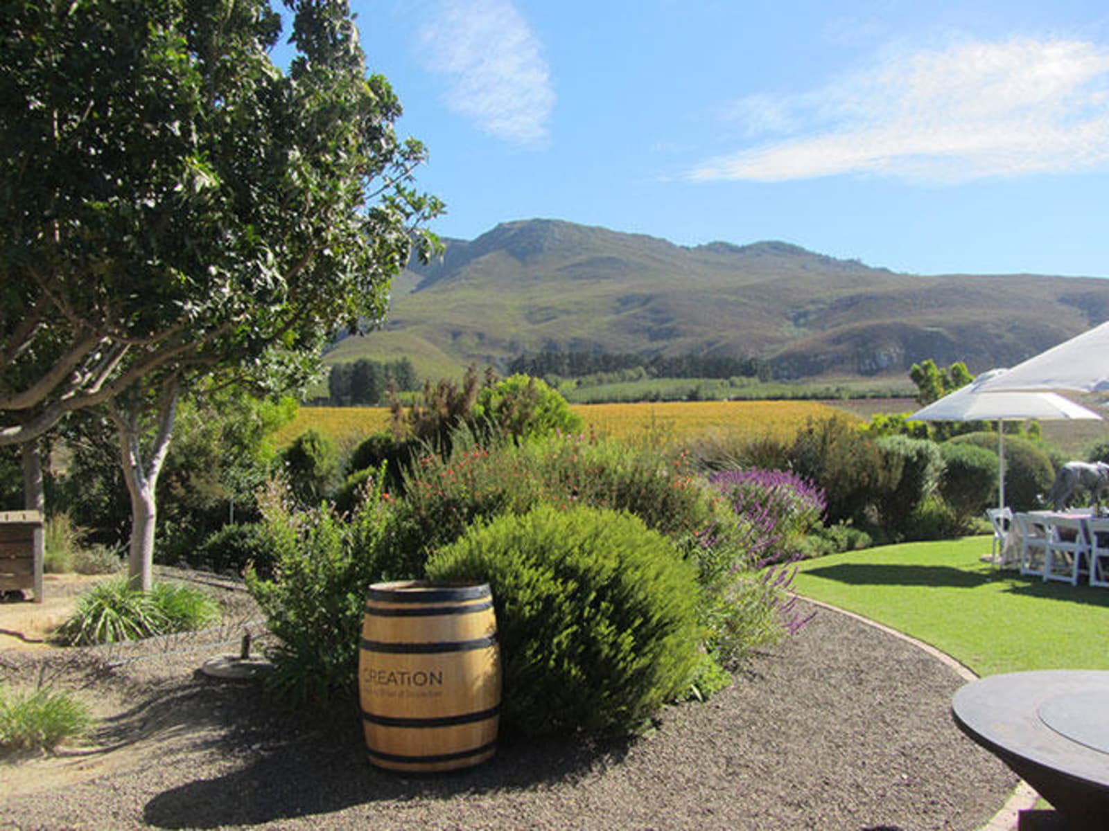 Barrel of wine in a garden overlooking clear mountain views
