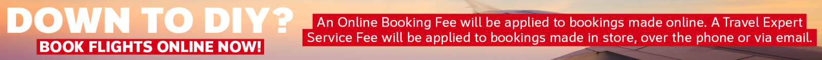 Airfare Online Pricing Banner