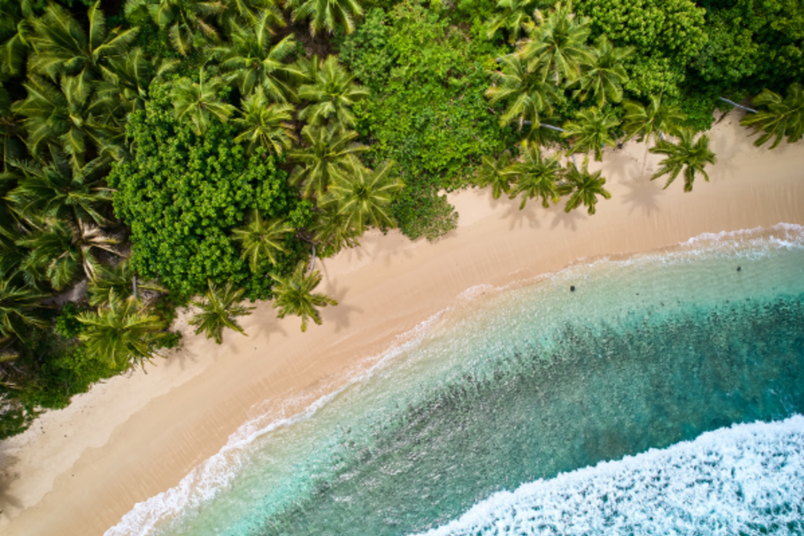 Fiji beach overhead