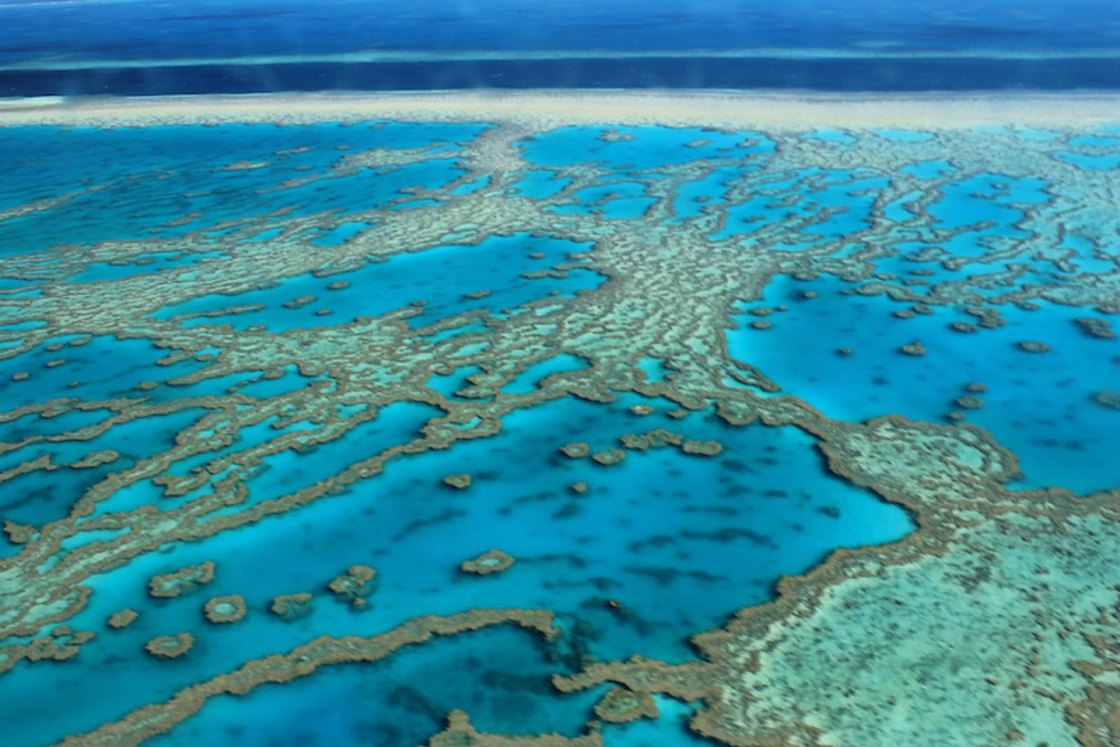 The Great Barrier Reef. Credit: FarbenfroheWunderwelt/Flickr.com
