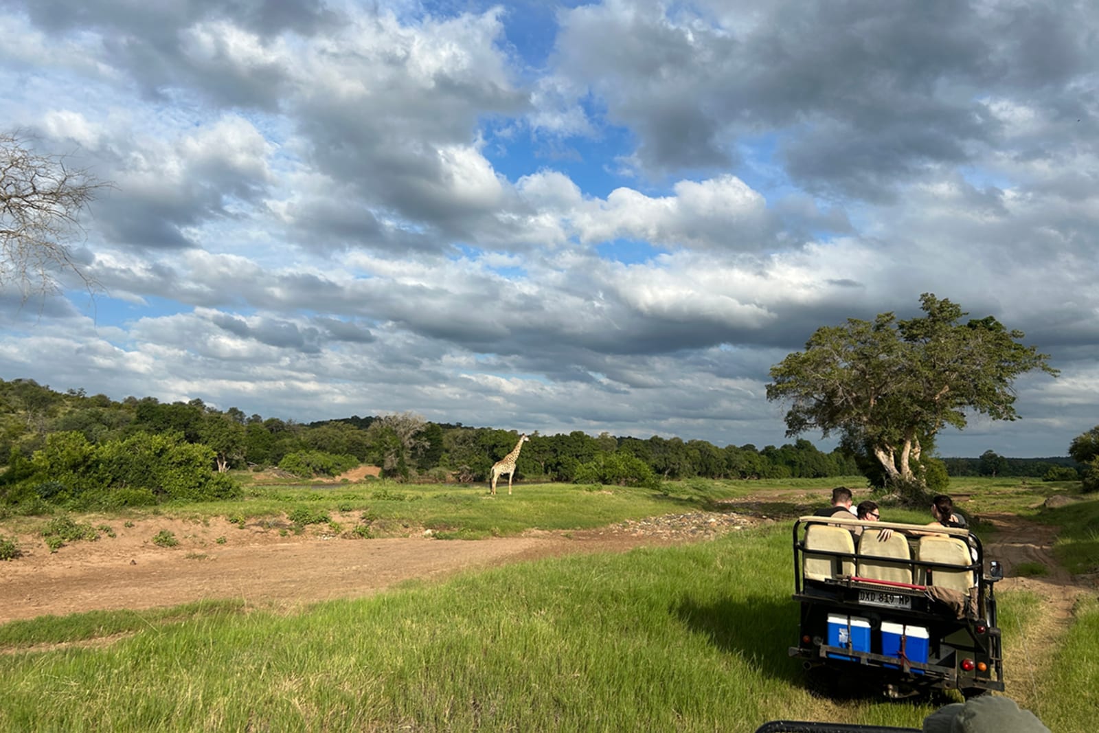 south_africa