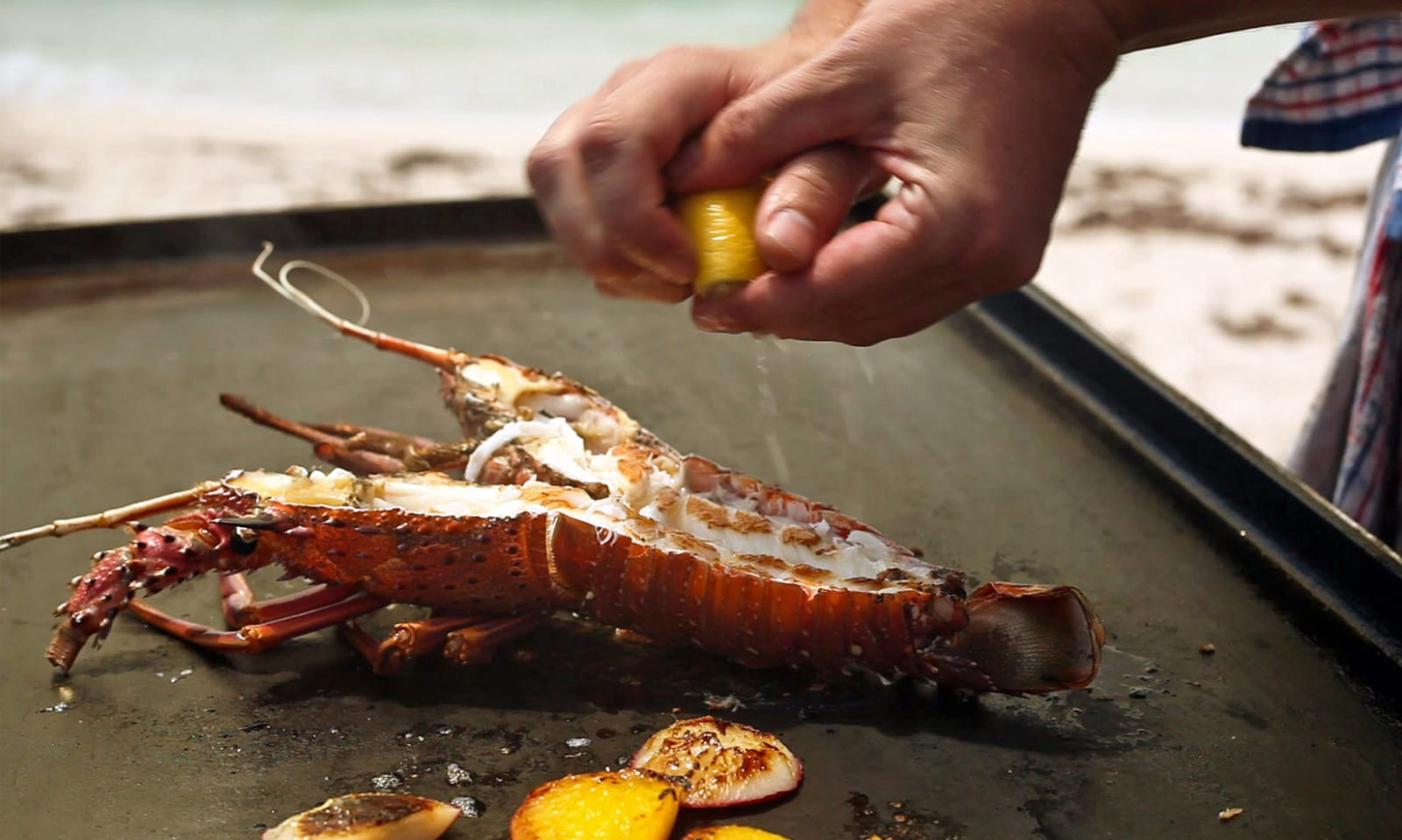 Crayfish, Rottnest Island, Western Australia