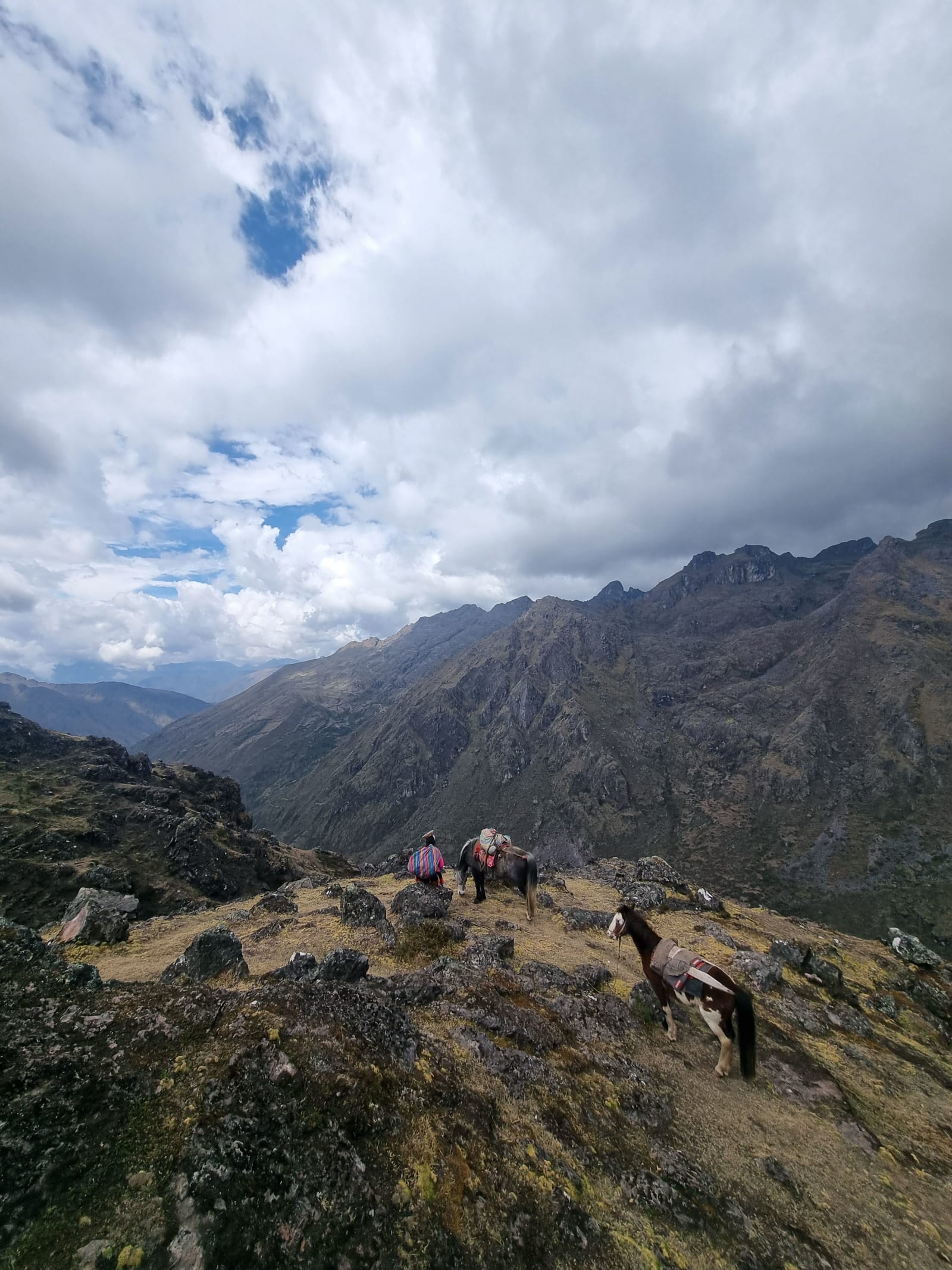 Woman and horses hiking in Peru