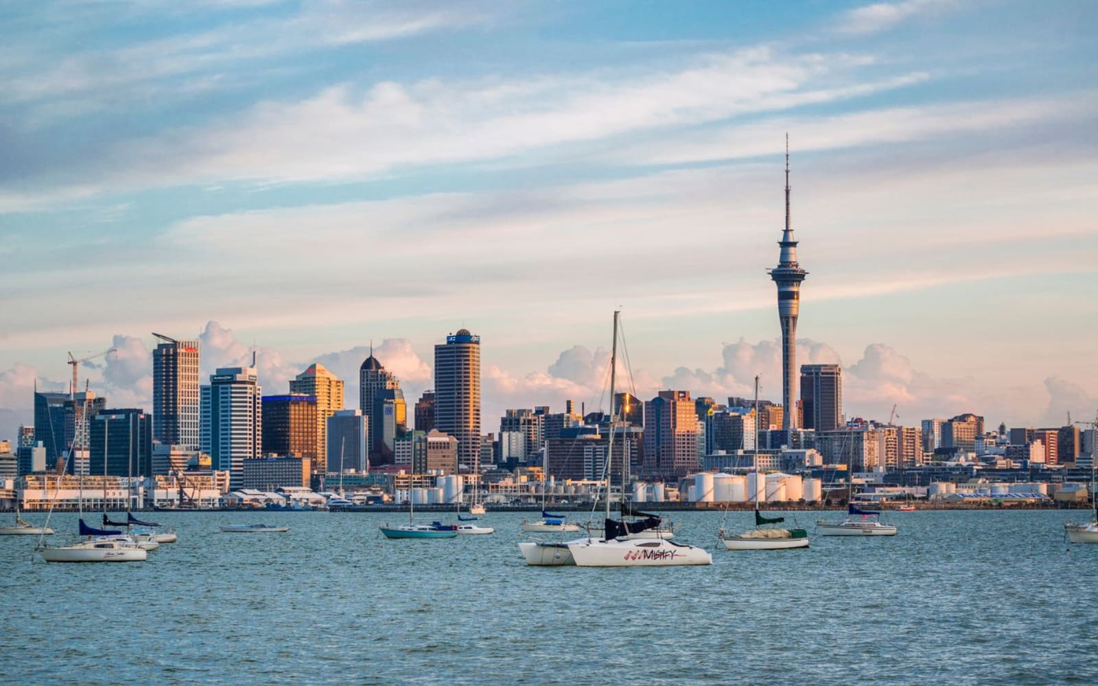 Looking at the Auckland city skyline from the water