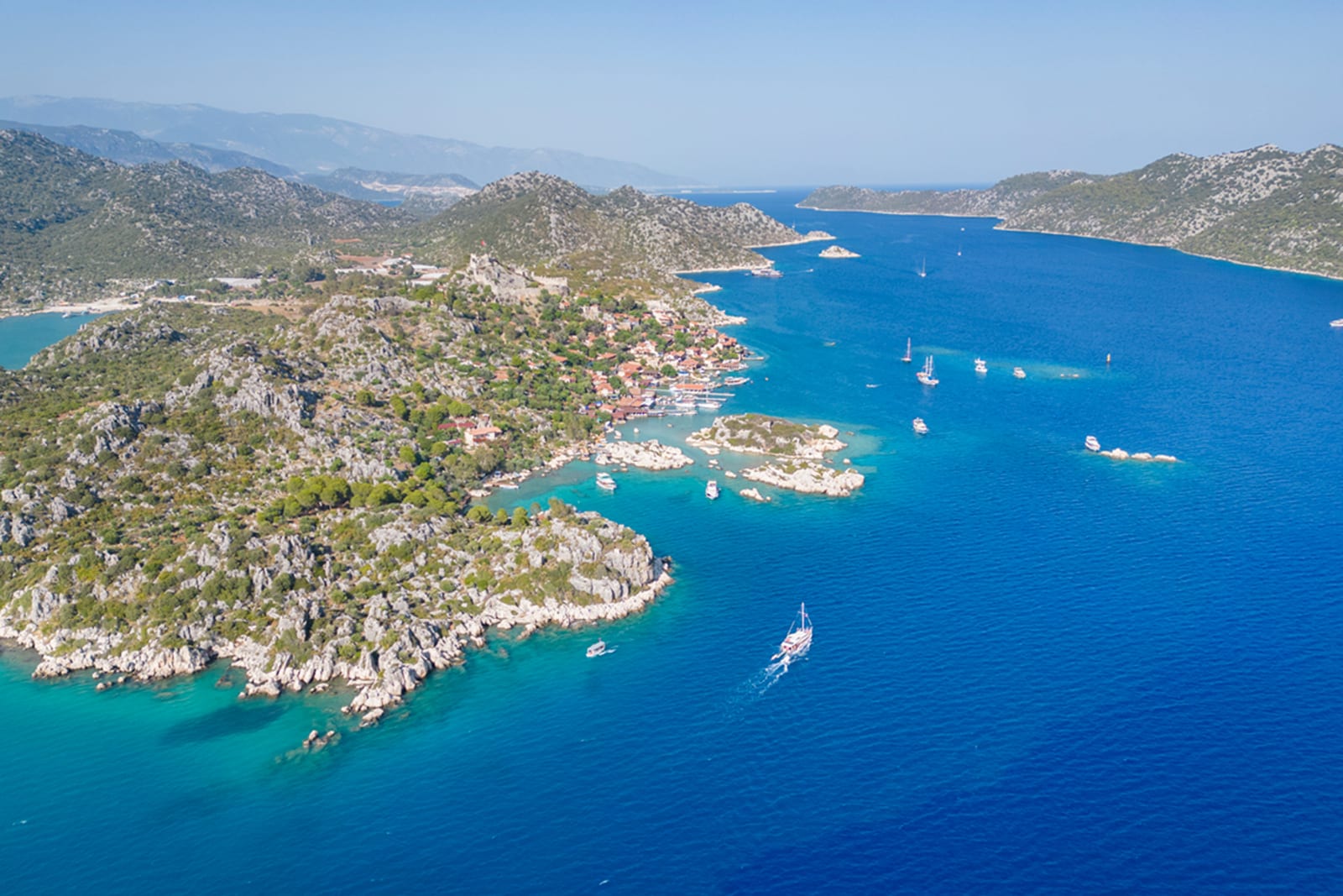 turkey