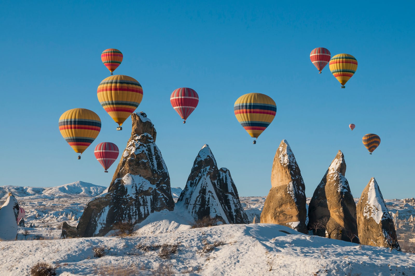 turkey