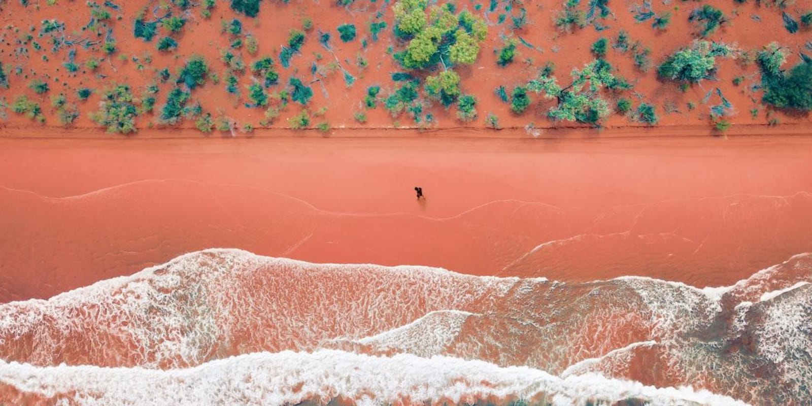 Aerial view of a person walking along a beach with red sand