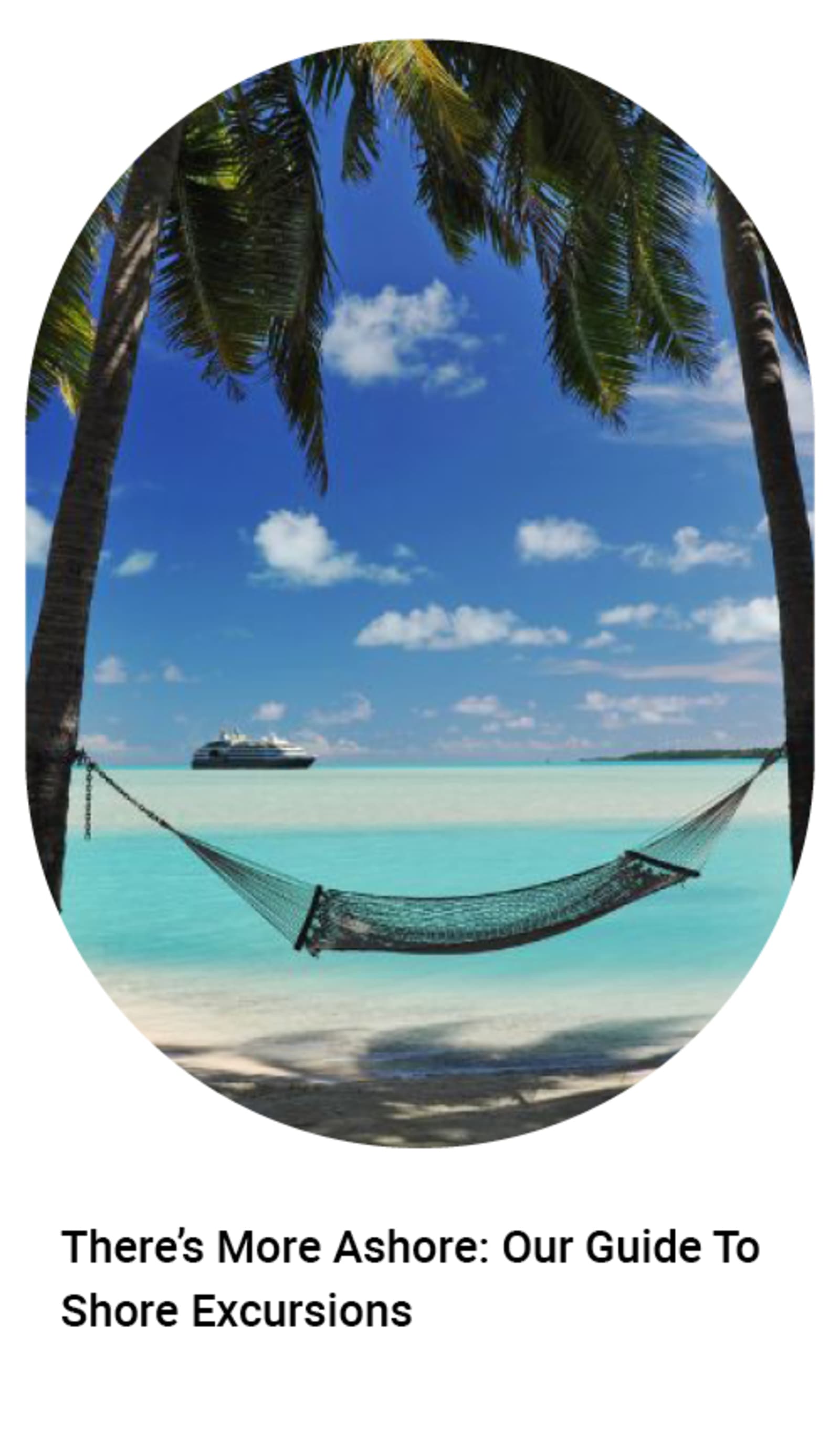 Hammock between two palm trees with a cruise ship far away on the horizon - There's more ashore: our guide to shore excursions