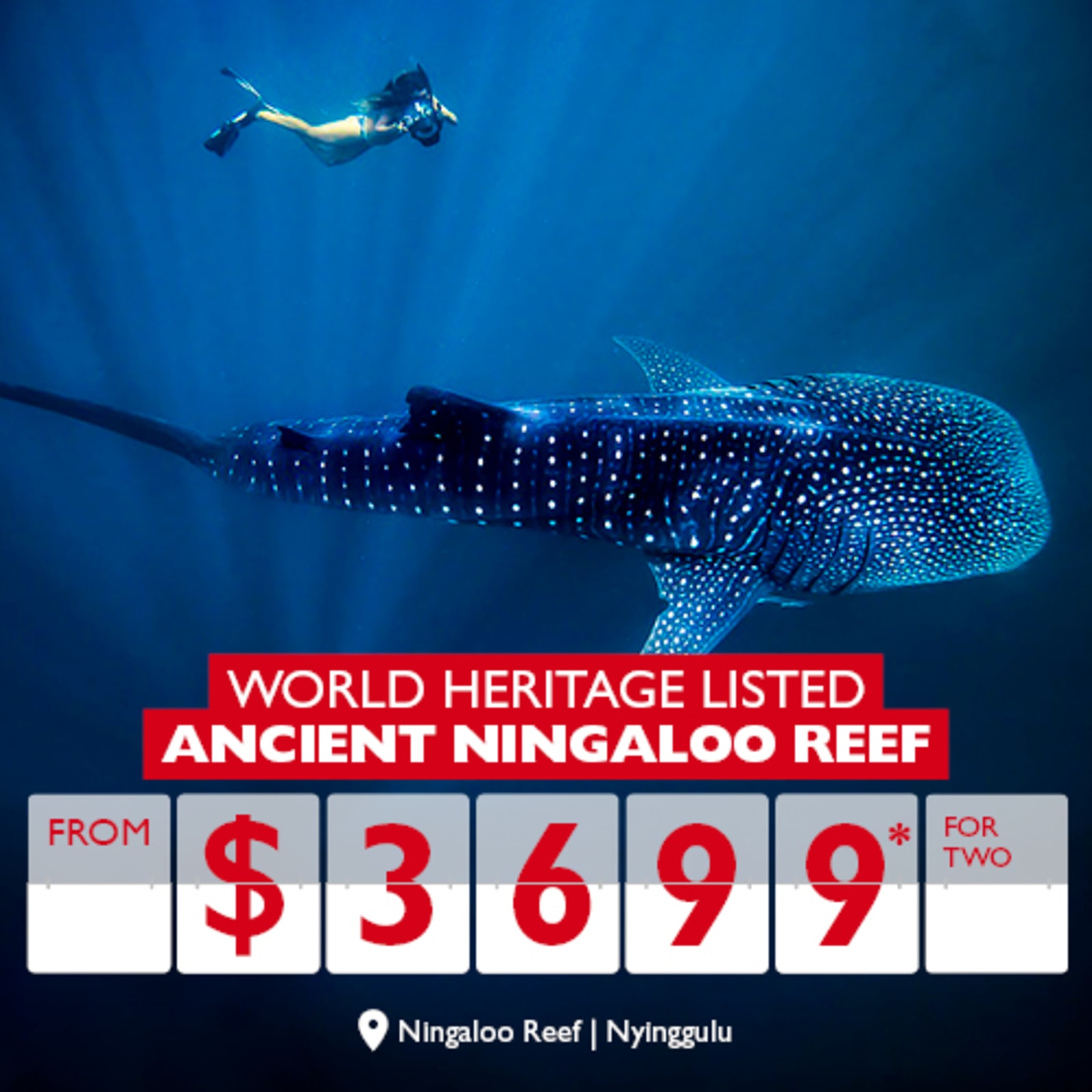 World heritage listed | Ancient Ningaloo Reef from $3699* for two