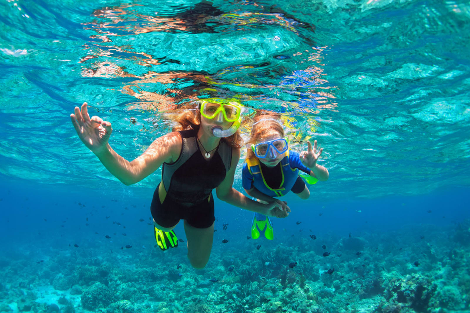 A family snorkelling off-board on a cruise excursion
