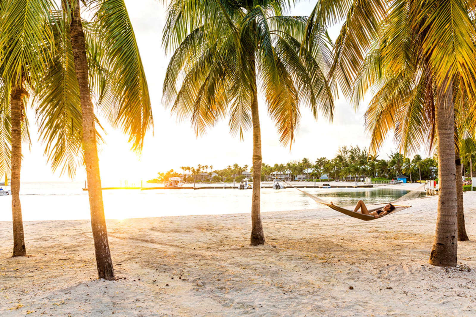 A person laying on a hammock between two palm trees on a Caribbean beach